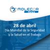 Molecor Paraná celebra el Día Mundial de la Seguridad y la Salud en el Trabajo